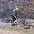 IMG_0780.jpg