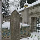 IMG_5767.jpg