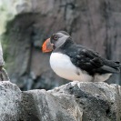 IMG_6629.jpg