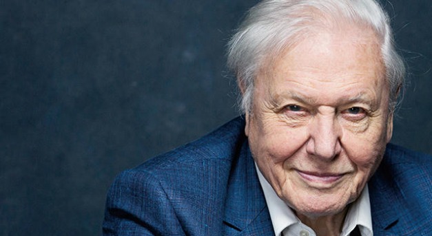 David Attenborough megszólalt, és rossz híreket hozott
