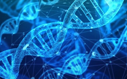 Megjósolhatja a rák és az Alzheimer-kór kialakulását a mesterséges intelligencia