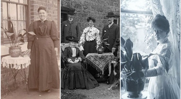 A gazdagság szimbóluma